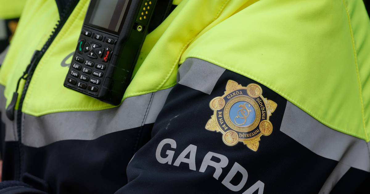 Masked men held boy (14) in room during aggravated burglary in Louth