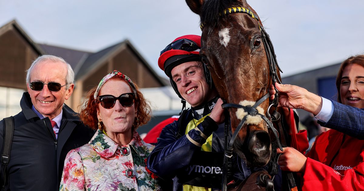 Punchestown 2024: Fastorslow can deliver another knockout blow to Gold Cup hero Galopin Des Champs on second day of Festival 