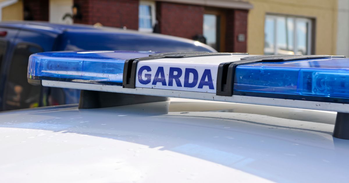 Manhunt underway after shots fired at property in Galway 