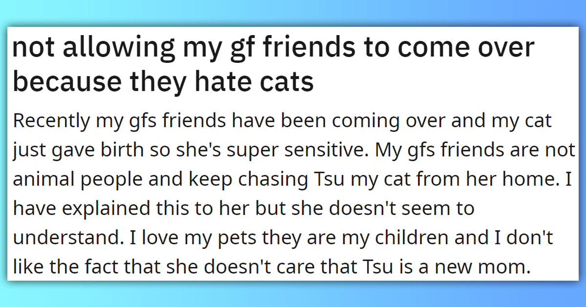 Boyfriend Refuses To Let Girlfriend's Friends Come Over Because They Hate Cats: 'I love my pets they are my children'