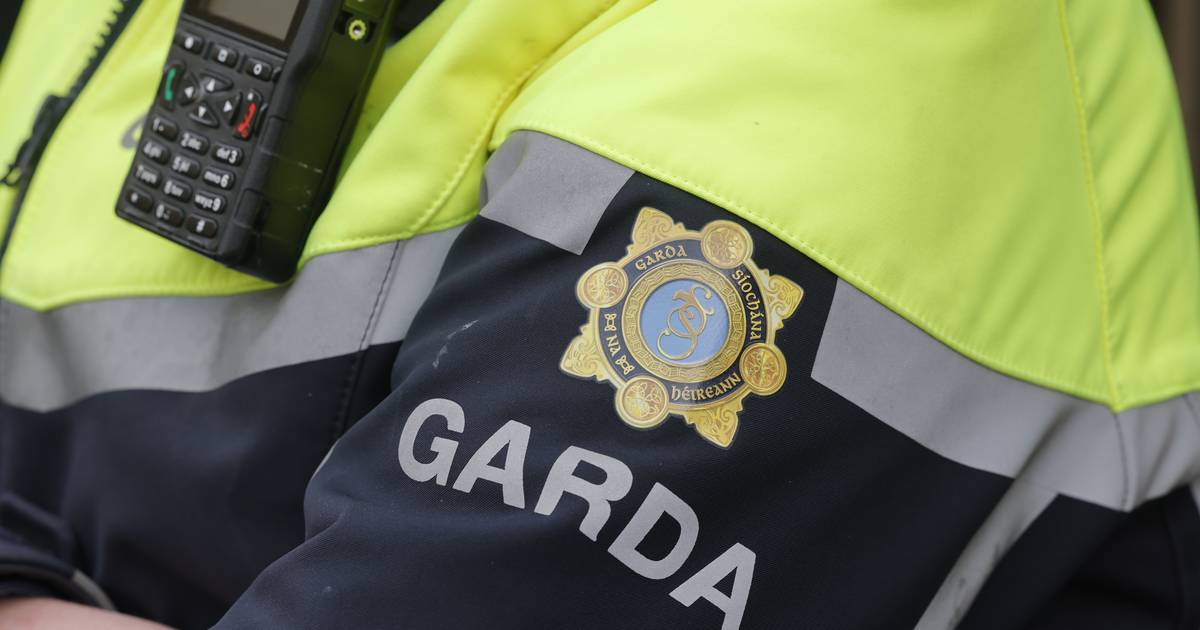 Man arrested after alleged intimidation at Co Wicklow hotel falsely rumoured as earmarked for asylum seekers