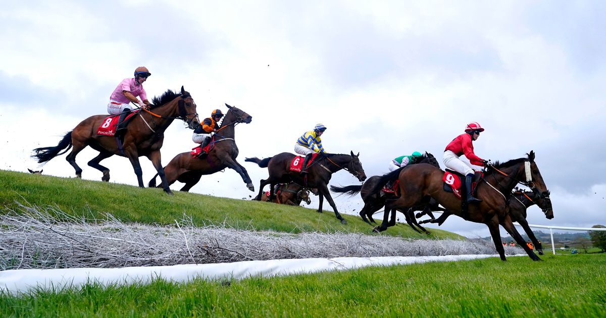 SPONSORED: Make the most of Punchestown Festival with these expert tips from Novibet