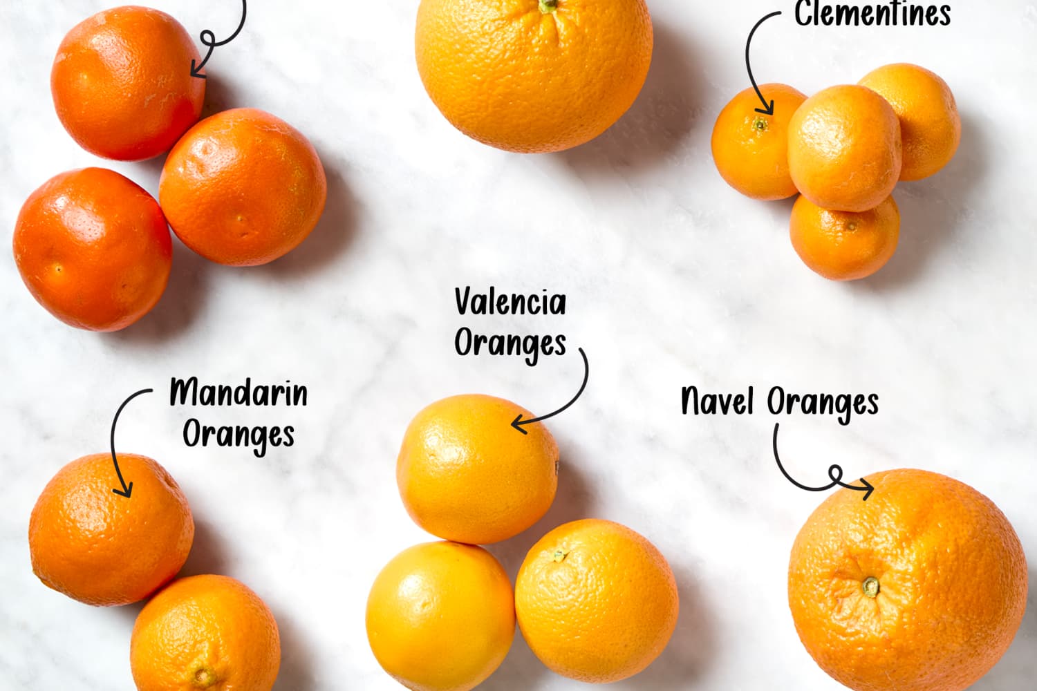 11 Types of Oranges (and How to Use Them!)