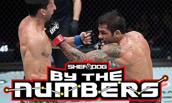 By the Numbers: UFC 301