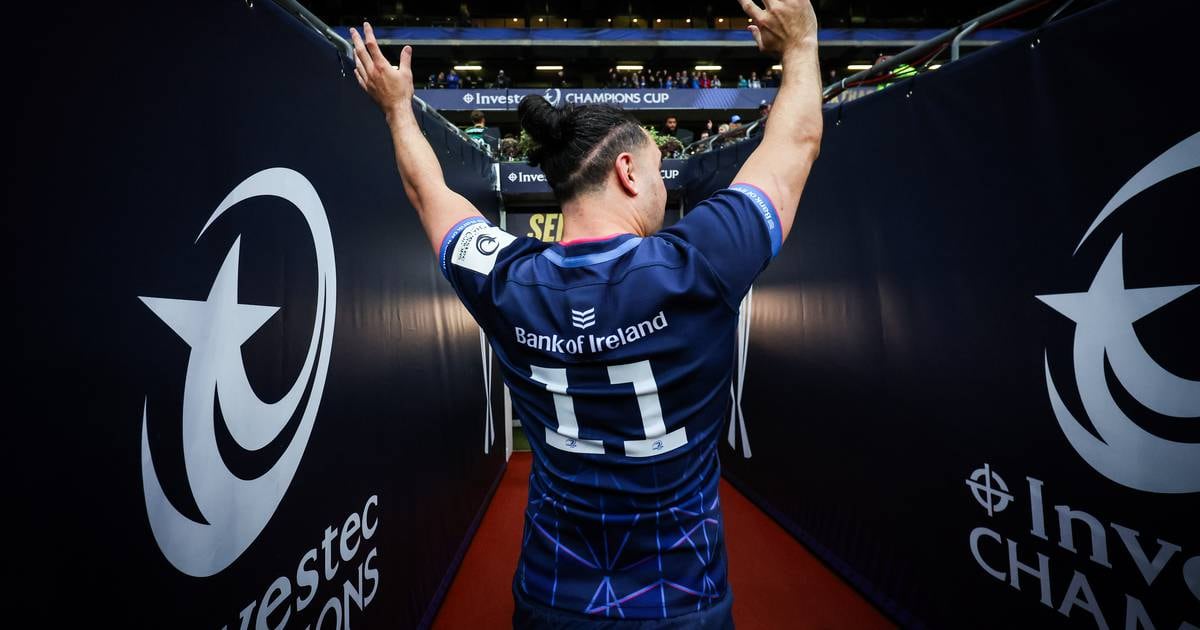 Holy cow! Leinster almost get a pat on the head in nerve-shredding finale 