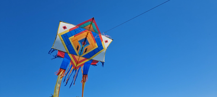 Kite Festival Takes Place in Silistra