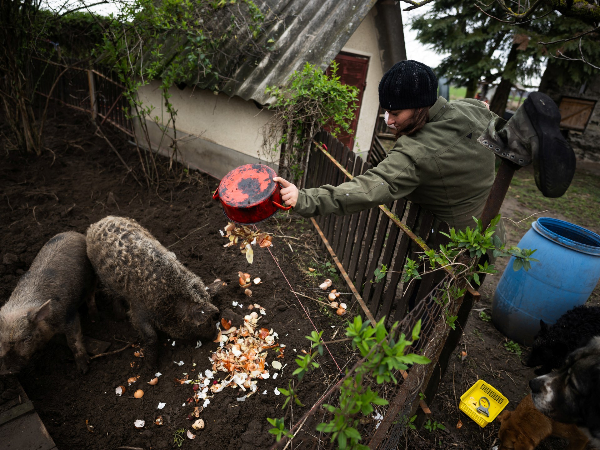 Sustainable living gives Hungarian families hope for the future