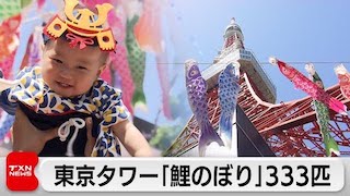 Carp Streamers Adorn Tokyo Tower on Children's Day