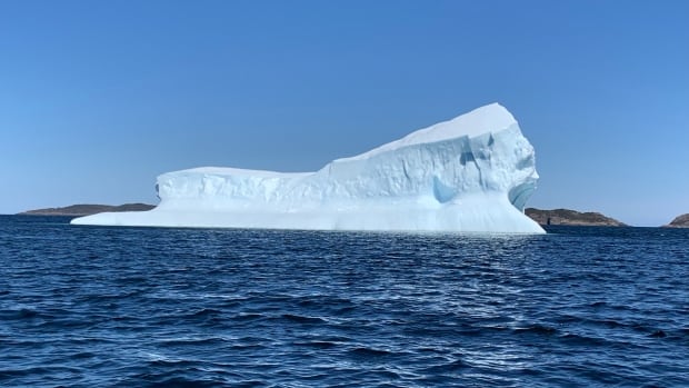 Icebergs are afloat in this week's gallery