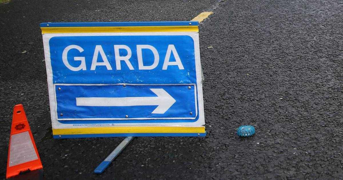 Girl (15) killed in Wicklow road crash named locally