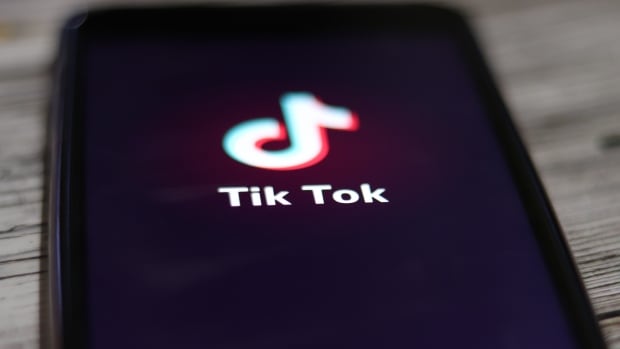 TikTok is suing the U.S. over 'obviously unconstitutional' law that would ban it