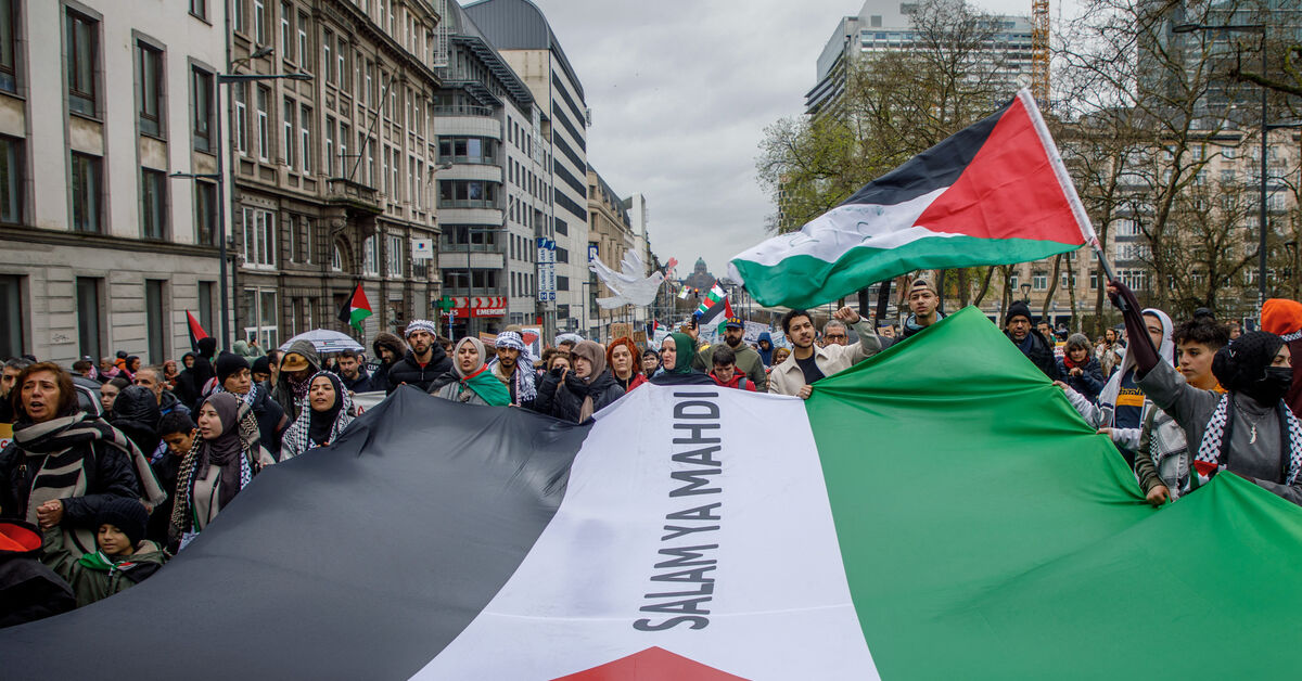 Belgium endorses Palestine's UN bid, Spain and Ireland may follow
