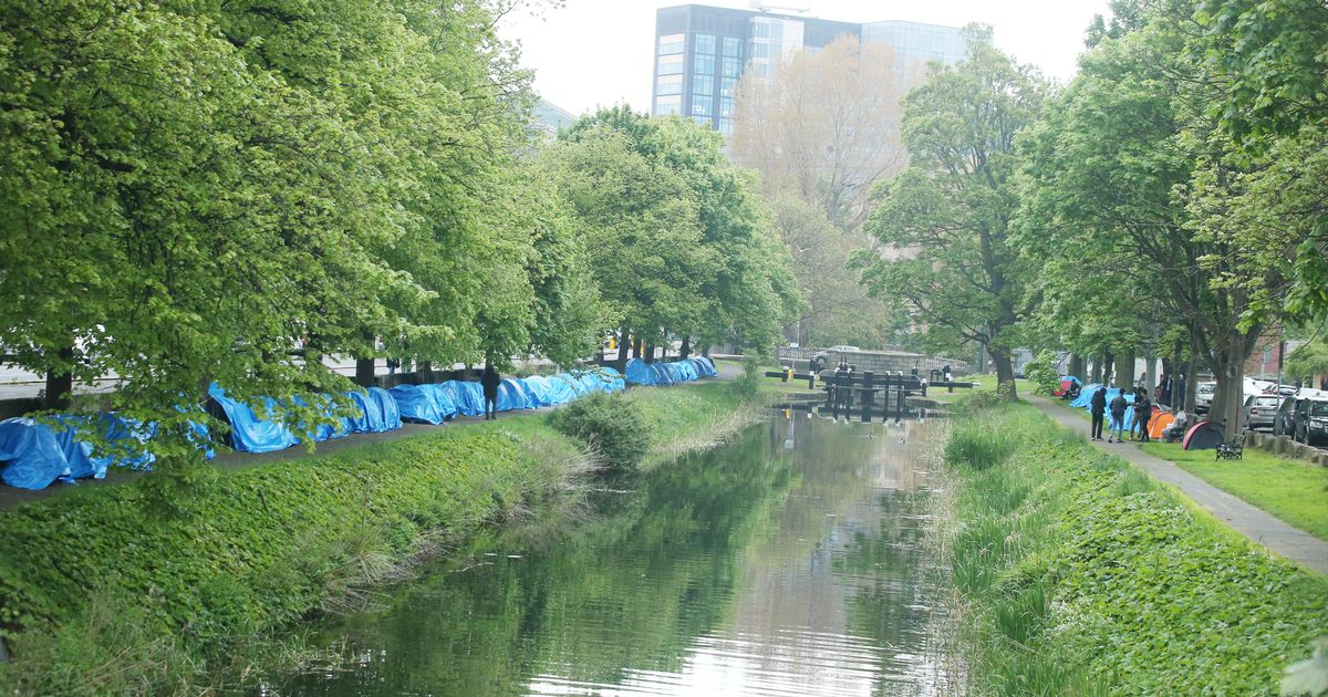Major multi-agency operation to remove tents at Grand Canal underway in Dublin