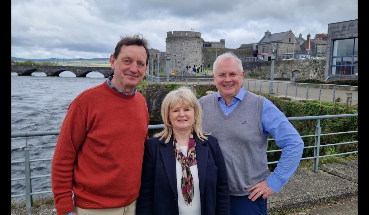 'Cities and towns in Ireland could learn a lot from Limerick'