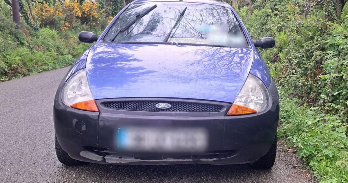 Gardai seize vehicle after catching banned driver using cardboard cut-out as an insurance disc