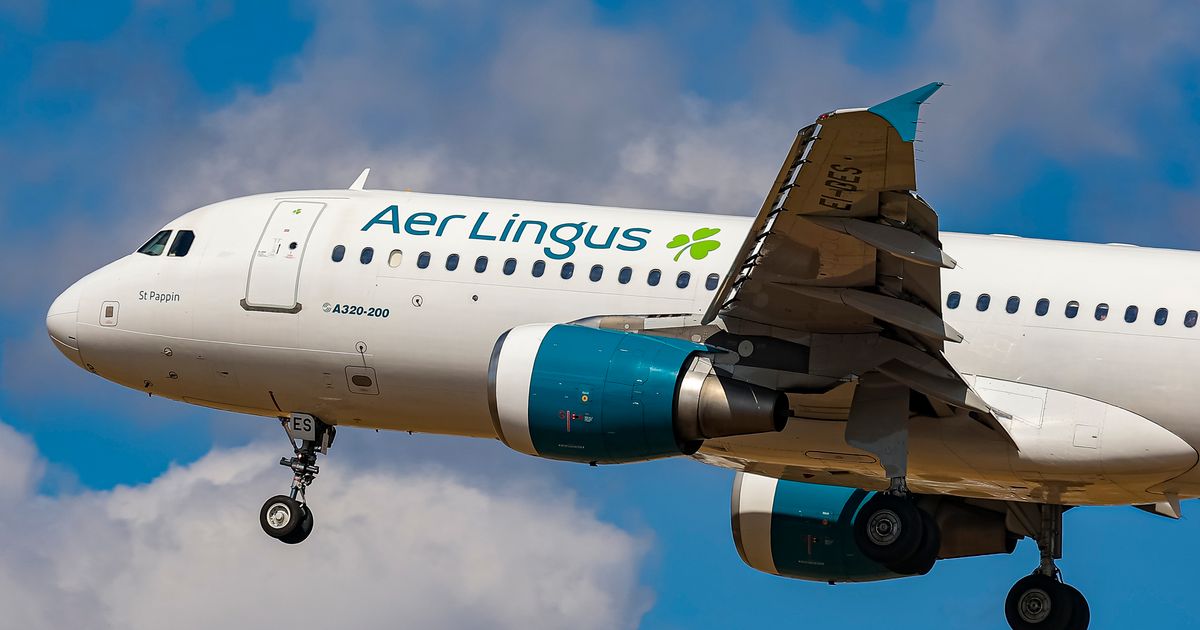 Aer Lingus worker who called colleagues 'bullies and bitches' has unfair dismissal claim thrown out