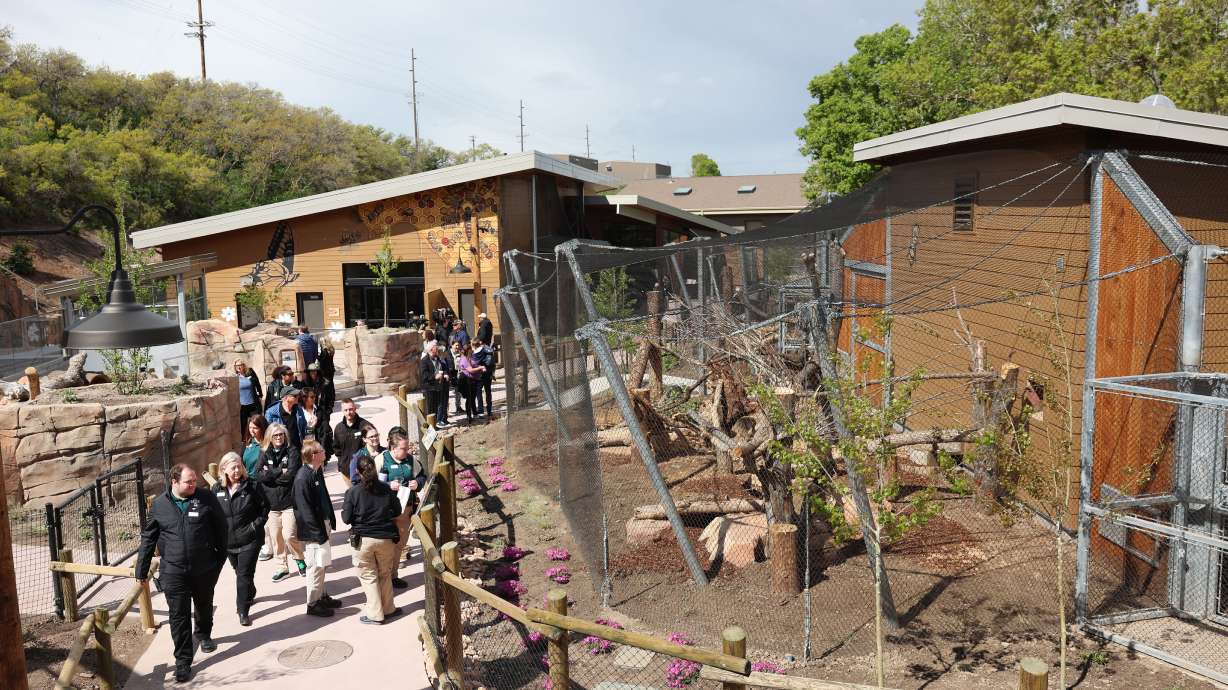 New Utah-focused exhibit comes to Hogle Zoo
