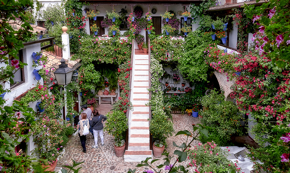 Must-visit: The patio festival in Cordoba this weekend will see hundreds battle to have their floral display declared the most beautiful