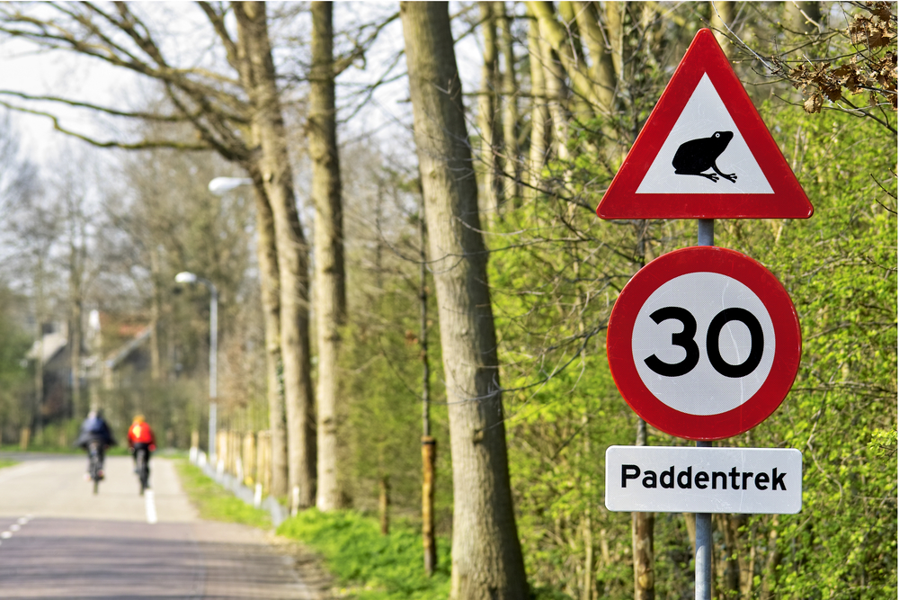 Rotterdam to slash speed limit to 30 kph on more roads
