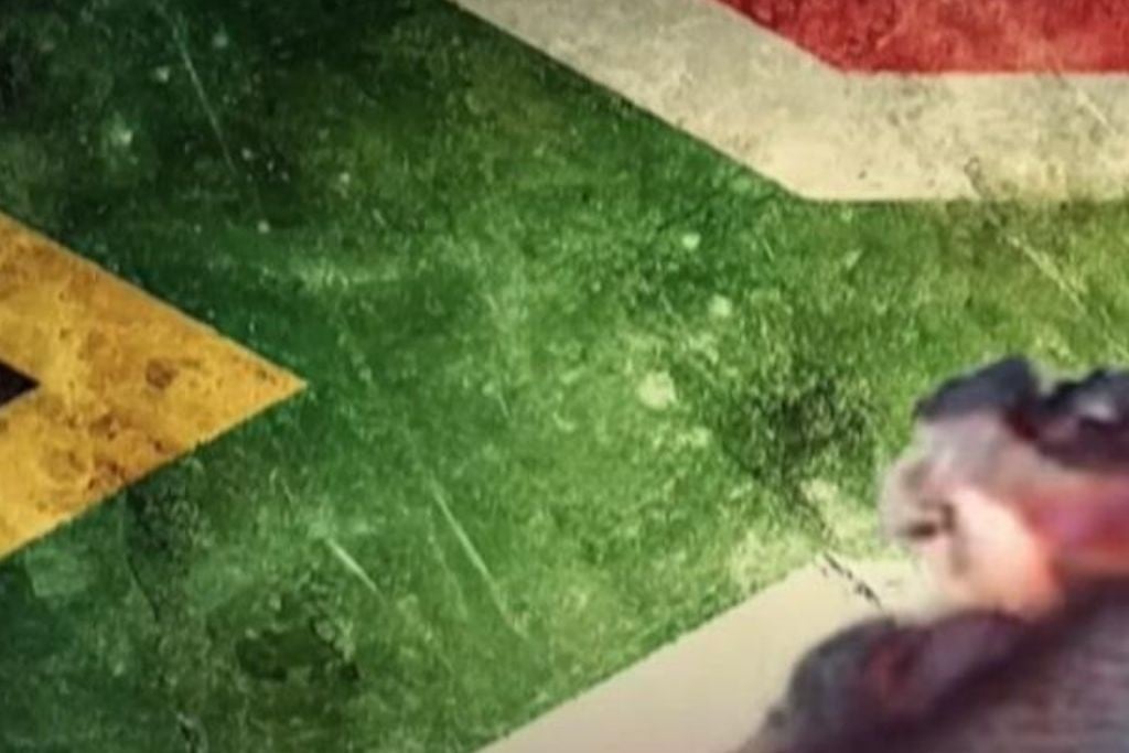 Icasa's complaints committee finds the SABC discriminated against DA by not airing 'burning flag' ad