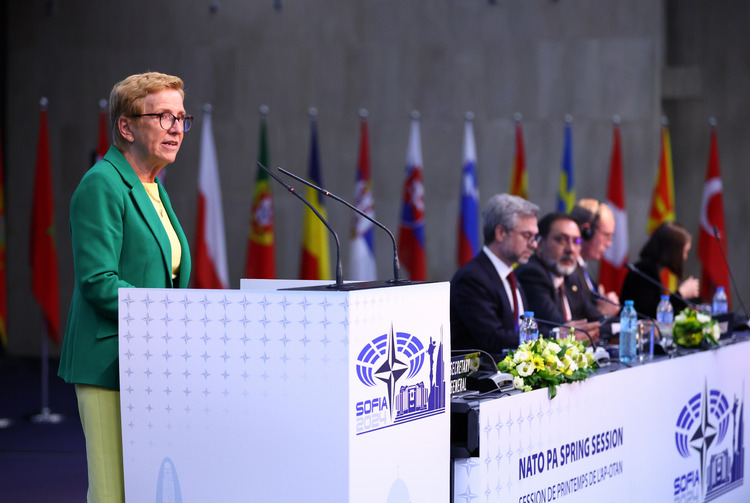Sweden's Parliament Deputy Speaker Lundgren Addresses NATO Parliamentary Assembly