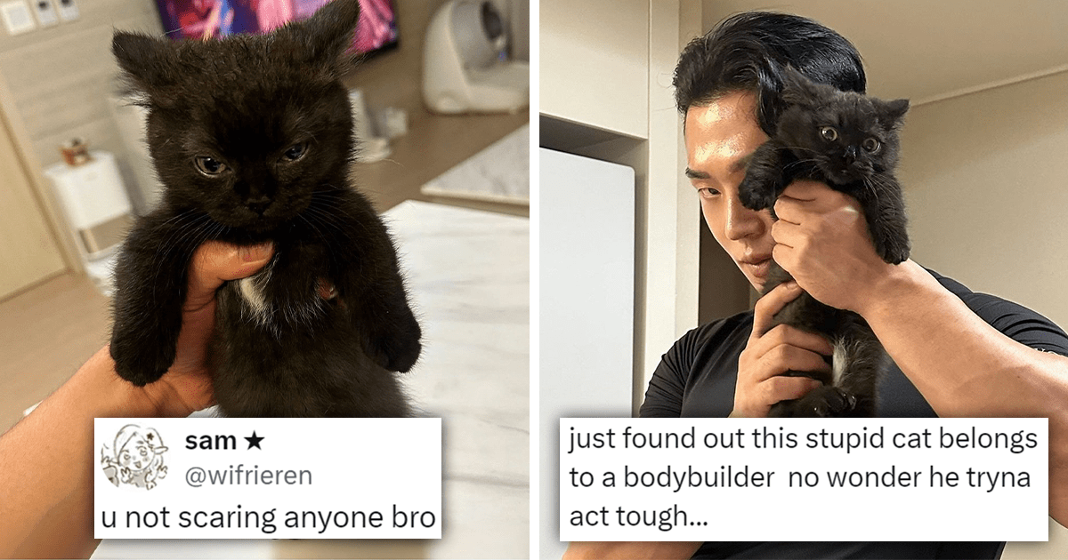 Totally Intimidating Awwdorable Black Kitten And Her Equally Handsome Bodybuilder Owner That Cats And Their Owners Really Do Match Purrfectly