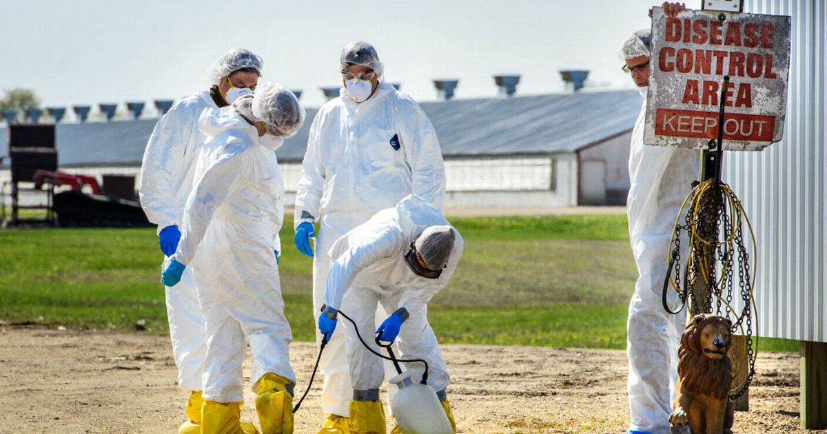 Ex-CDC director predicts cause of next pandemic that 'may wipe out up to 50 per cent of infected'