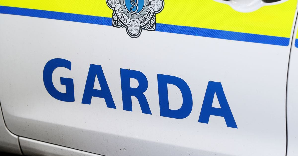 Gardai seize suspected firearm from hotel housing asylum seekers in Kildare