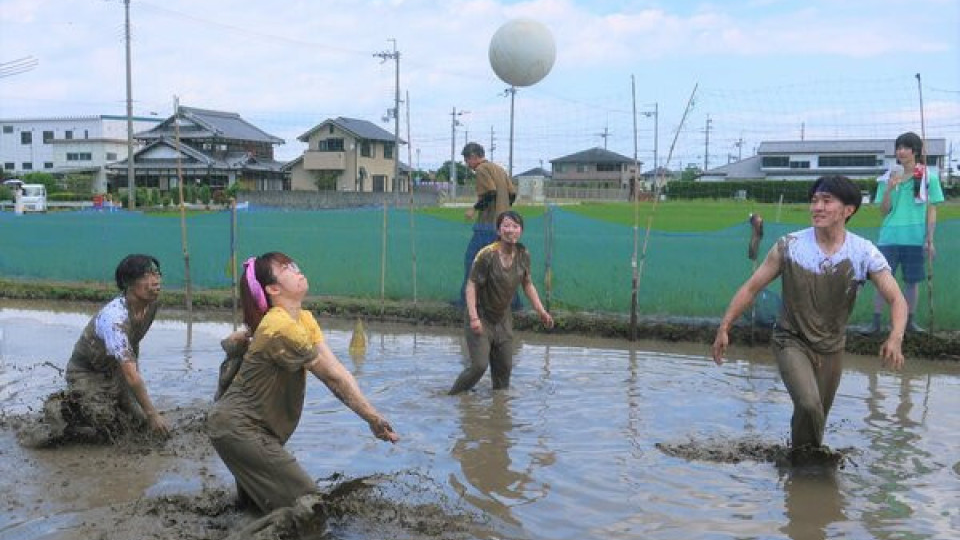 Unique volleyball tournament in muddy rice paddy held in Shiga