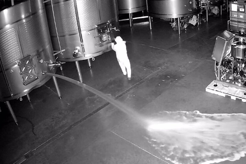 Former bodega worker arrested after allegedly dumping 60,000 litres of wine onto Spanish winery floor