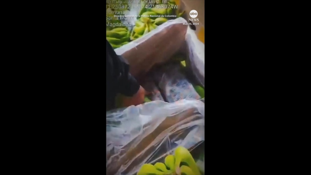 WATCH: Colombian police find cocaine hidden in banana shipment