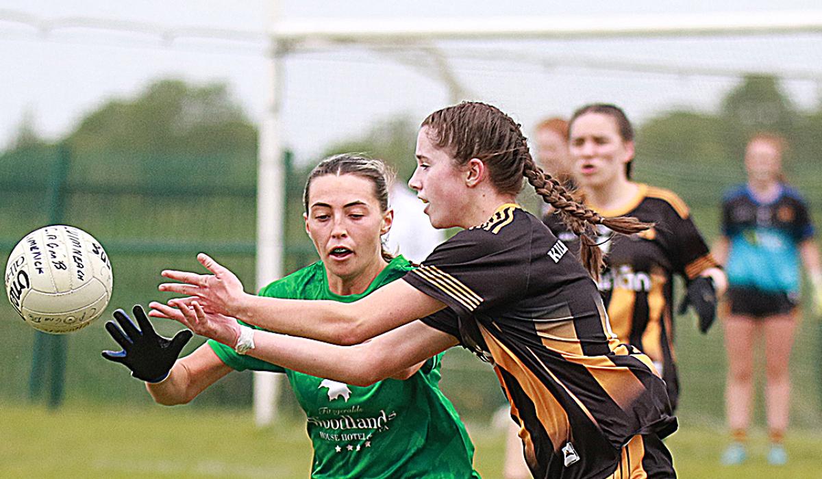 Limerick book spot in semi-final's of TG4 Junior Ladies All-Ireland Football Championship after Kilkenny win