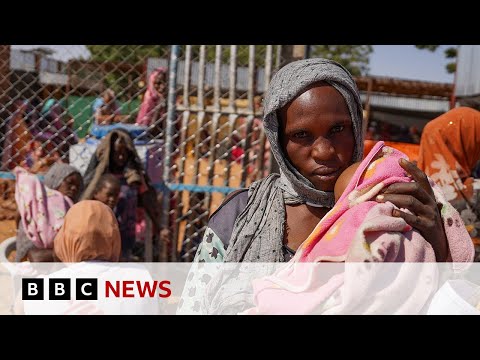 UN Security Council demands end to Sudan&#39;s city siege | BBC News