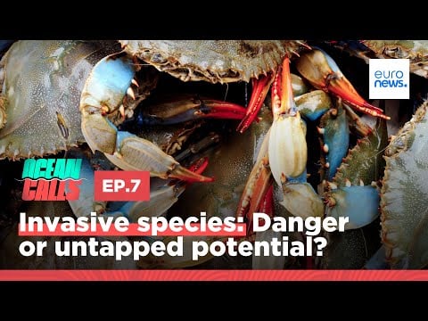 Invasive species: Danger or untapped potential?