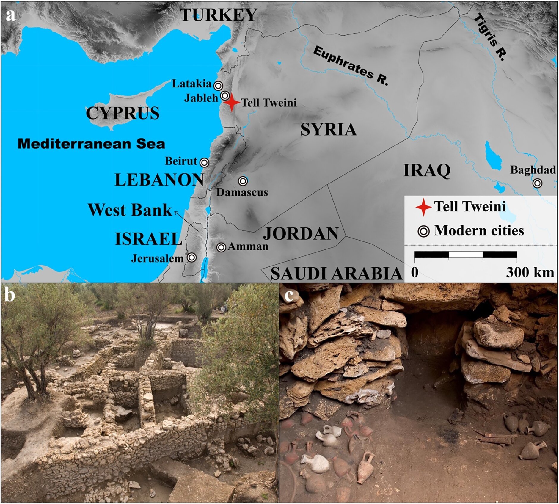 Analyses show ancient Syrian diets resembled the modern 'Mediterranean diet'
