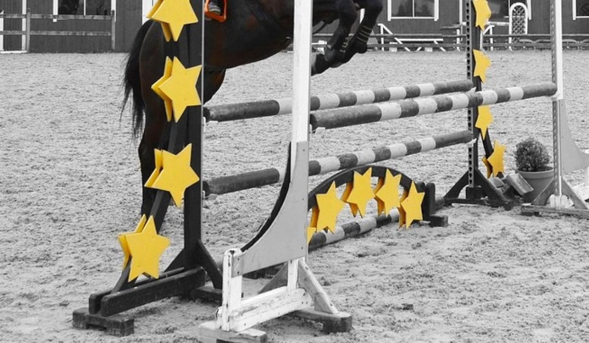 Garda probe after theft of show jumping equipment in Cruit Island