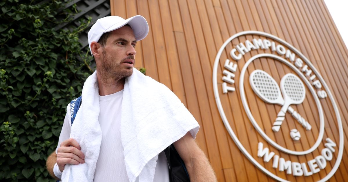 Andy Murray ruled out of Wimbledon singles - will still play doubles alongside his brother Jamie