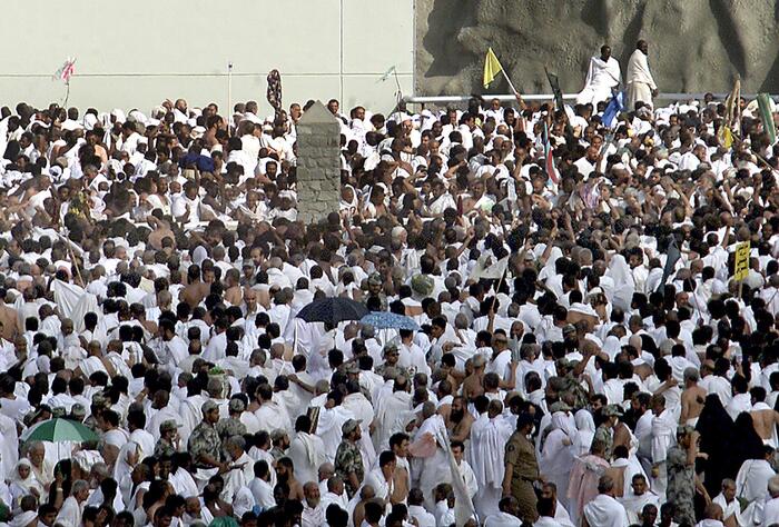 Official quits after calling Hajj victims natural selection