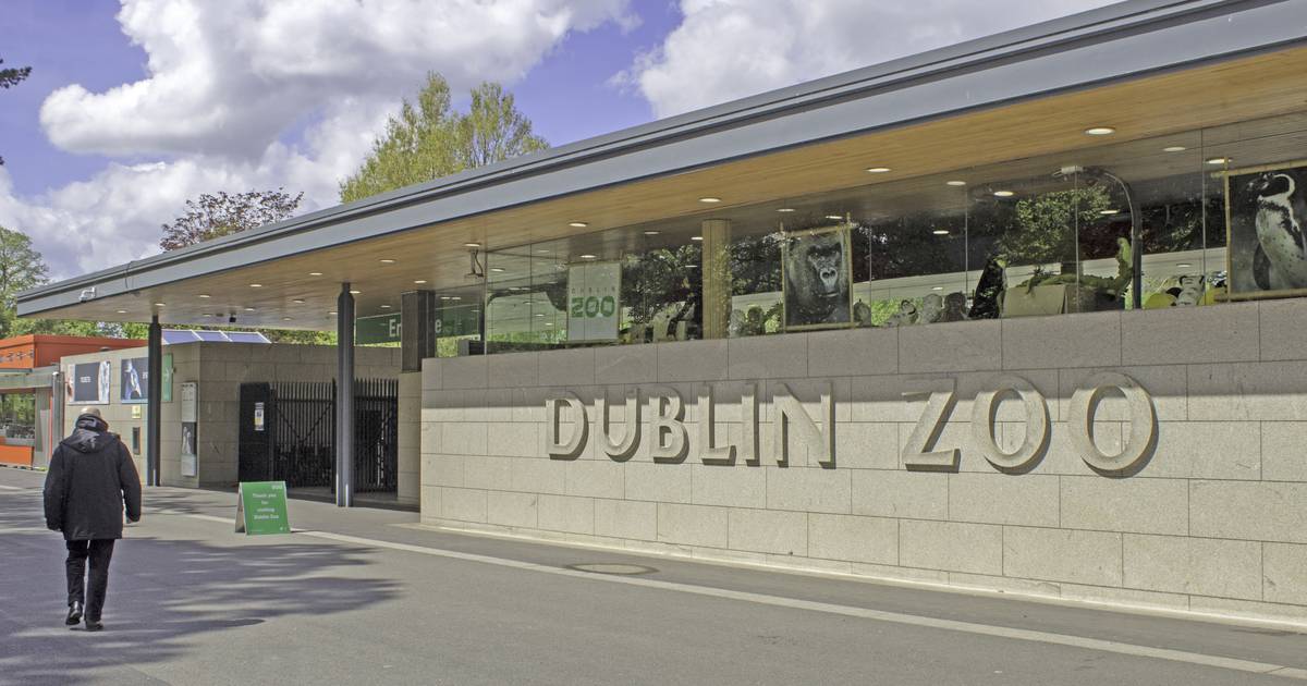 Dublin Zoo cleared of wrongdoing after investigation into allegations of mistreatment of animals