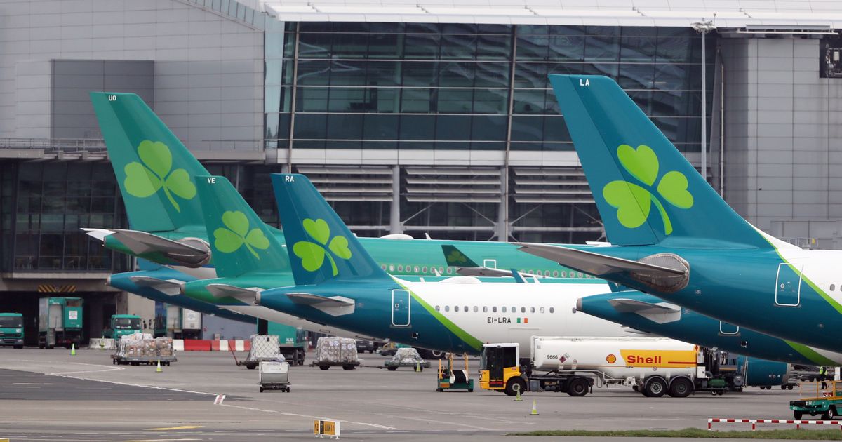 Aer Lingus hires planes and crew from other operators to fill flight slots as Labour Court intervenes in pilots' row