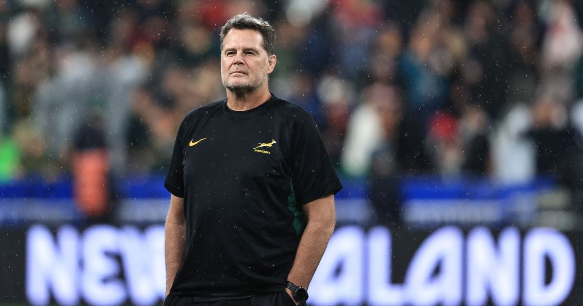 Springboks going global, taking in three continents, to widen squad depth - while Ireland confine selection to four clubs in one league