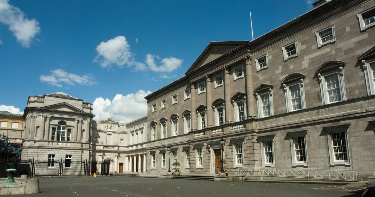 Leinster House usher 'suspended' following social media posts