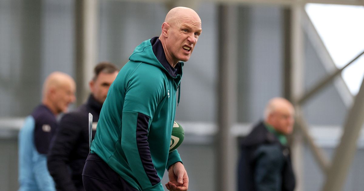 Paul O'Connell insists Rugby world Cup quarter-final loss will fuel Ireland