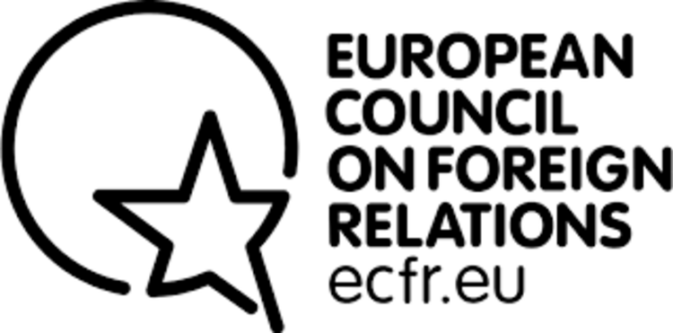 Ukrainian Optimism Clashes with Bulgarian, European Scepticism ahead of NATO Summit, Shows ECFR Survey