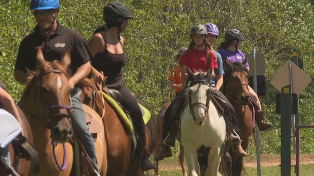 P.E.I. horse riders' group hopes to use more of Confederation Trail