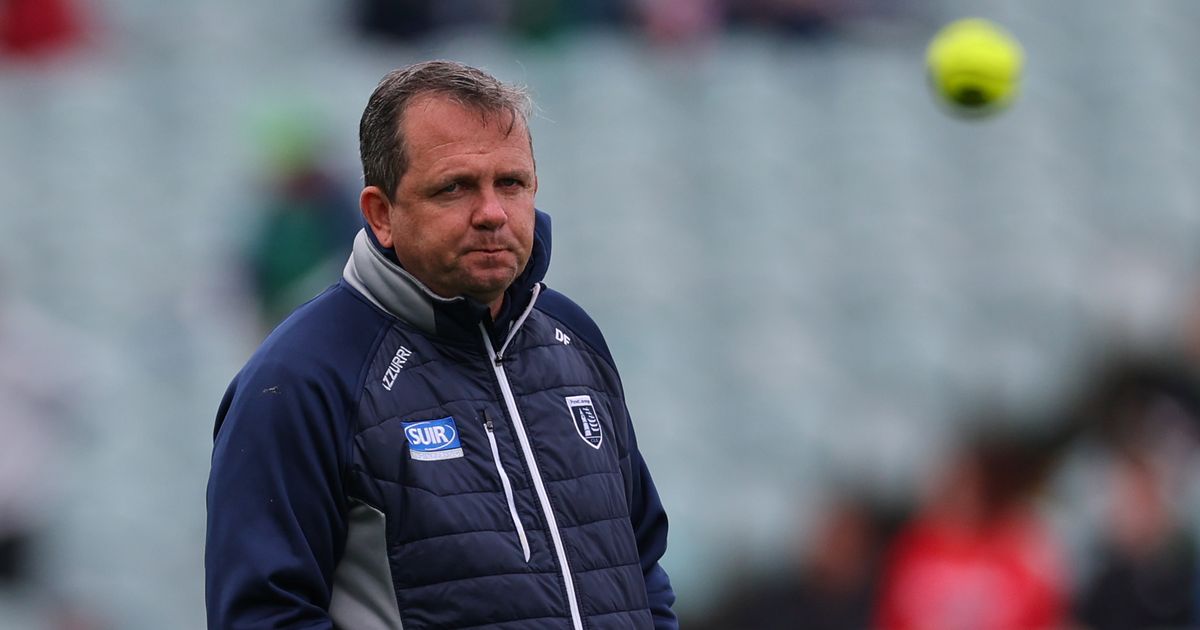 Davy Fitzgerald on Waterford exit - "It's been in my head all the time"