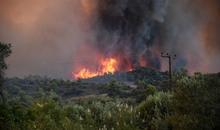 Romanian arrested in Greece for causing wildfire