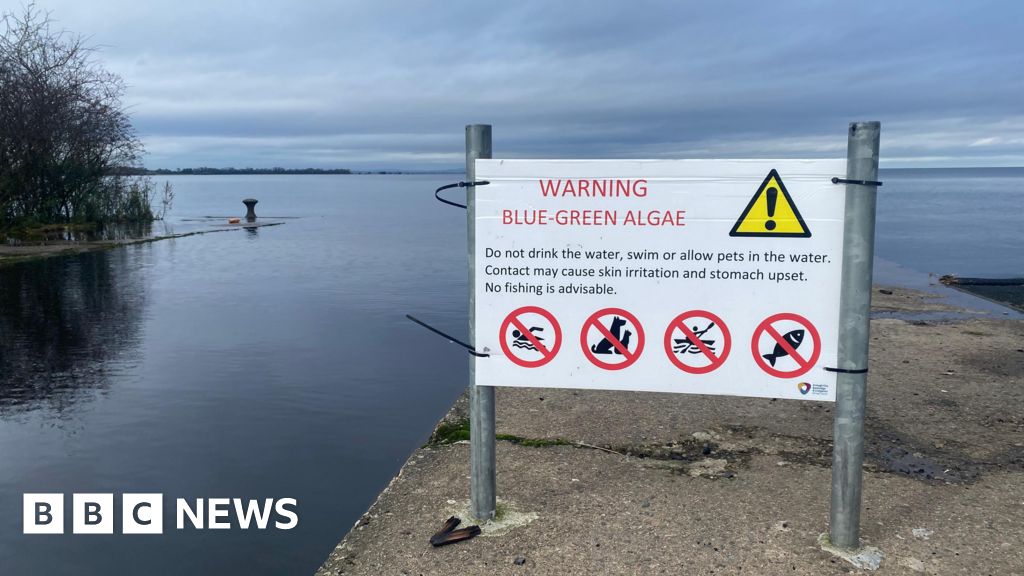 Lough Neagh plan of action to be outlined