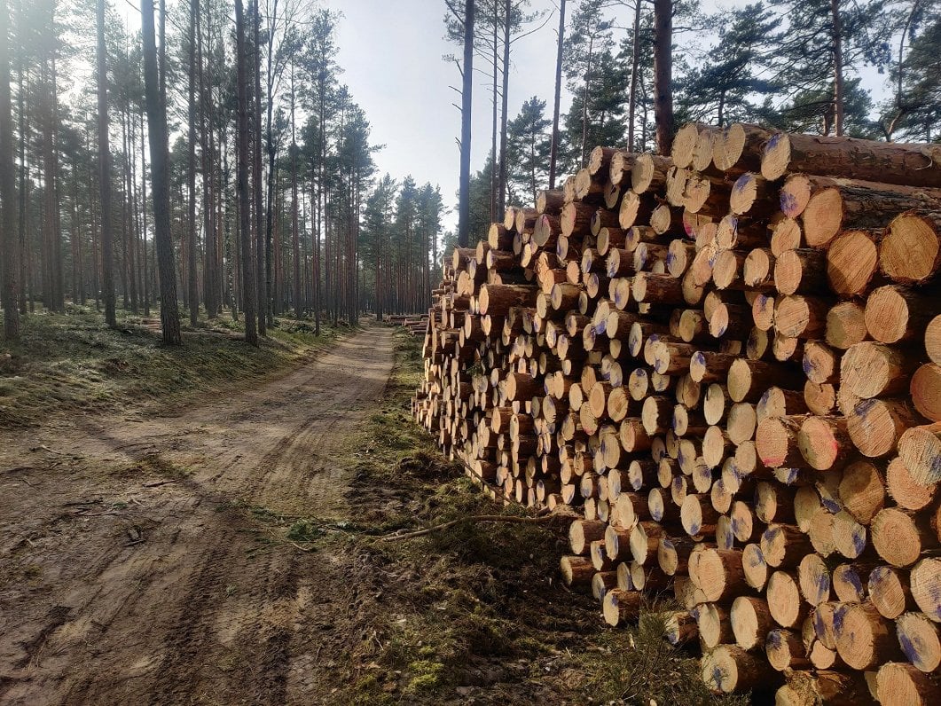 Forestry costs growing strongly in Latvia
