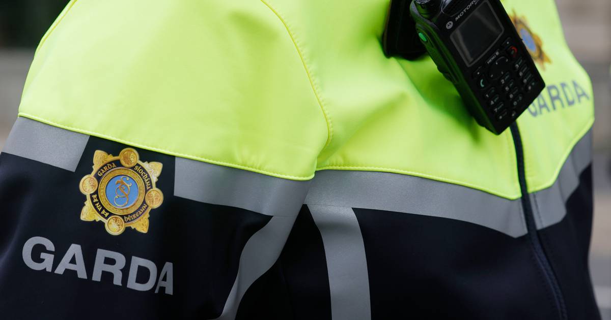 More than 40 Garda members convicted or given probation over last decade